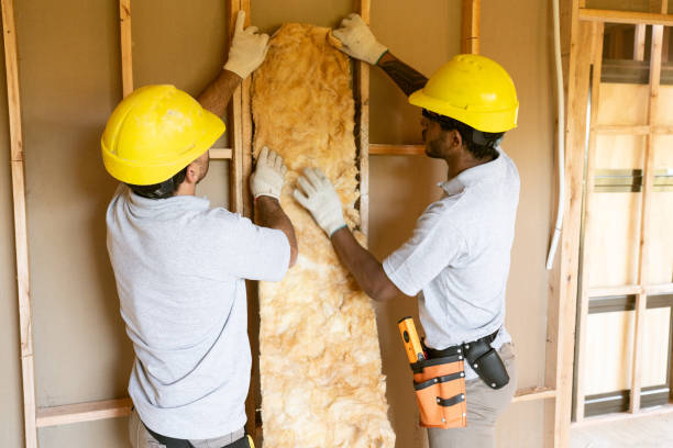 Types of Insulation We Offer in Annandale, MN